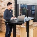 Best 5 Bamboo Adjustable Standing Desks In 2020 Reviews