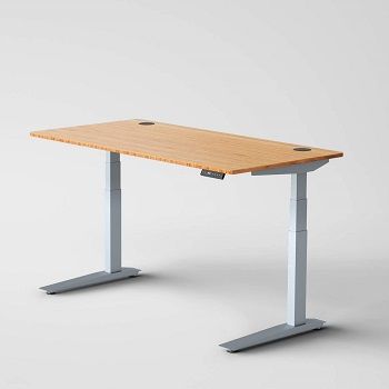 Jarvis Standing Desk With Bamboo Top
